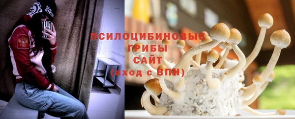 ALPHA PVP Белокуриха
